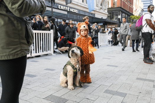 友好的波士顿万圣节活动pg电子中国网站亲子(图5)