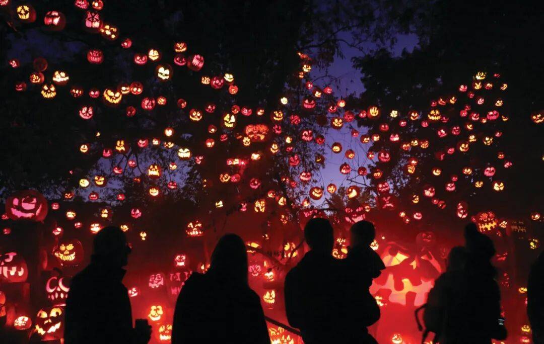 友好的波士顿万圣节活动pg电子中国网站亲子(图8)